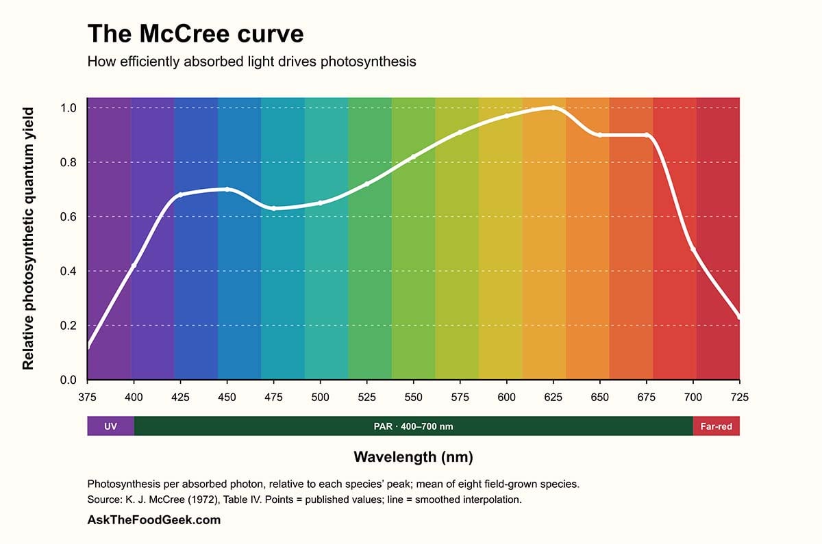 A graph of light wavelengths based on the McCree curve.