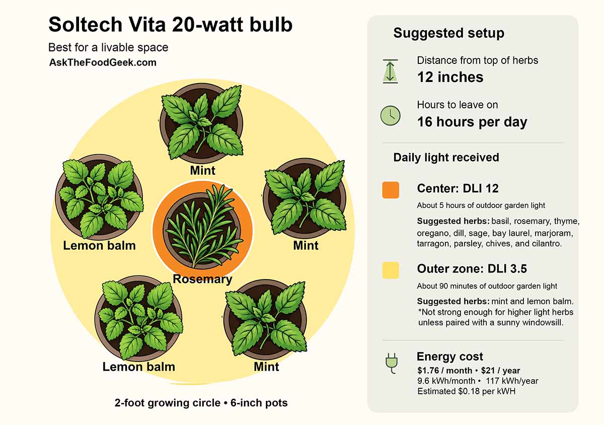An infographic with the suggested setup for herbs under the Soltech Vita grow bulb.