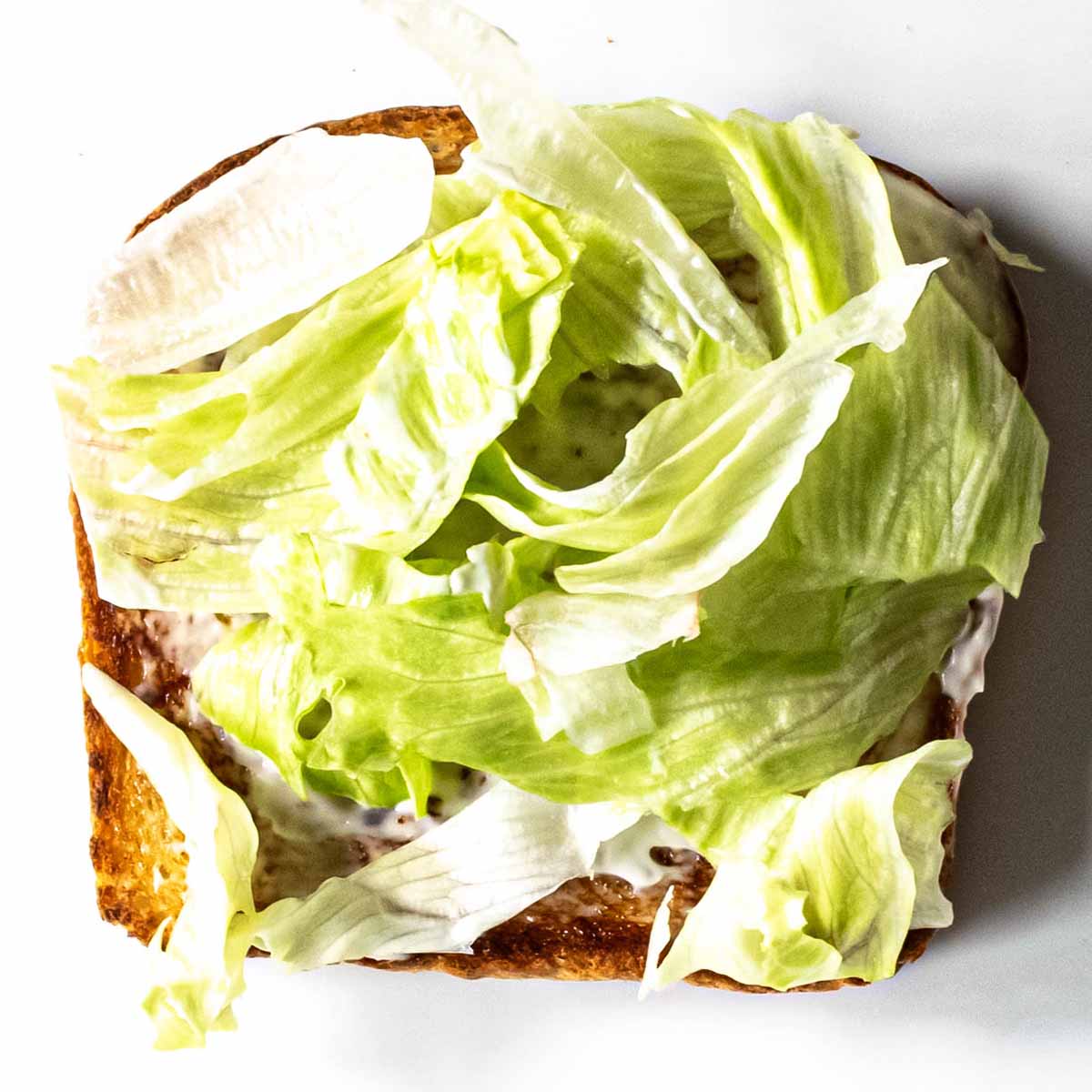 Club sandwich layer 2: lettuce.
