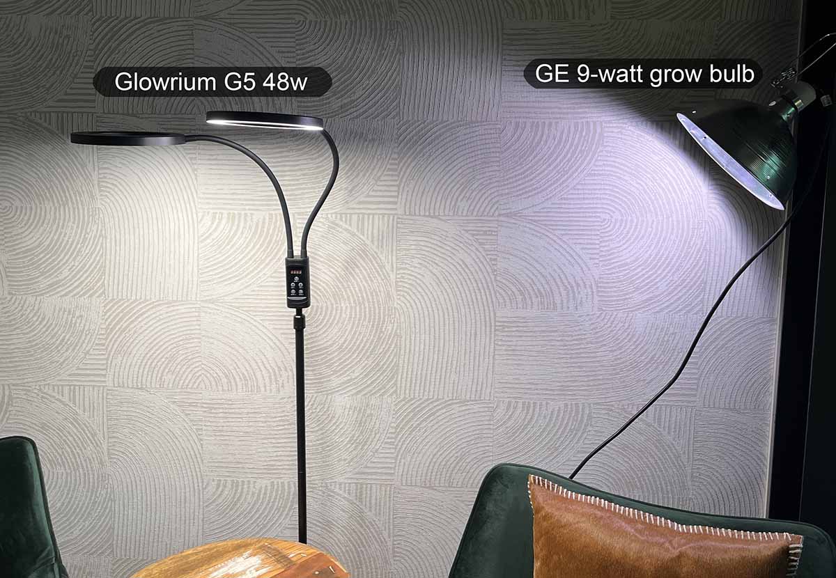 Comparing a neutral white grow light to the GE 9-watt bulb which is noticeably pink or purple-ish.