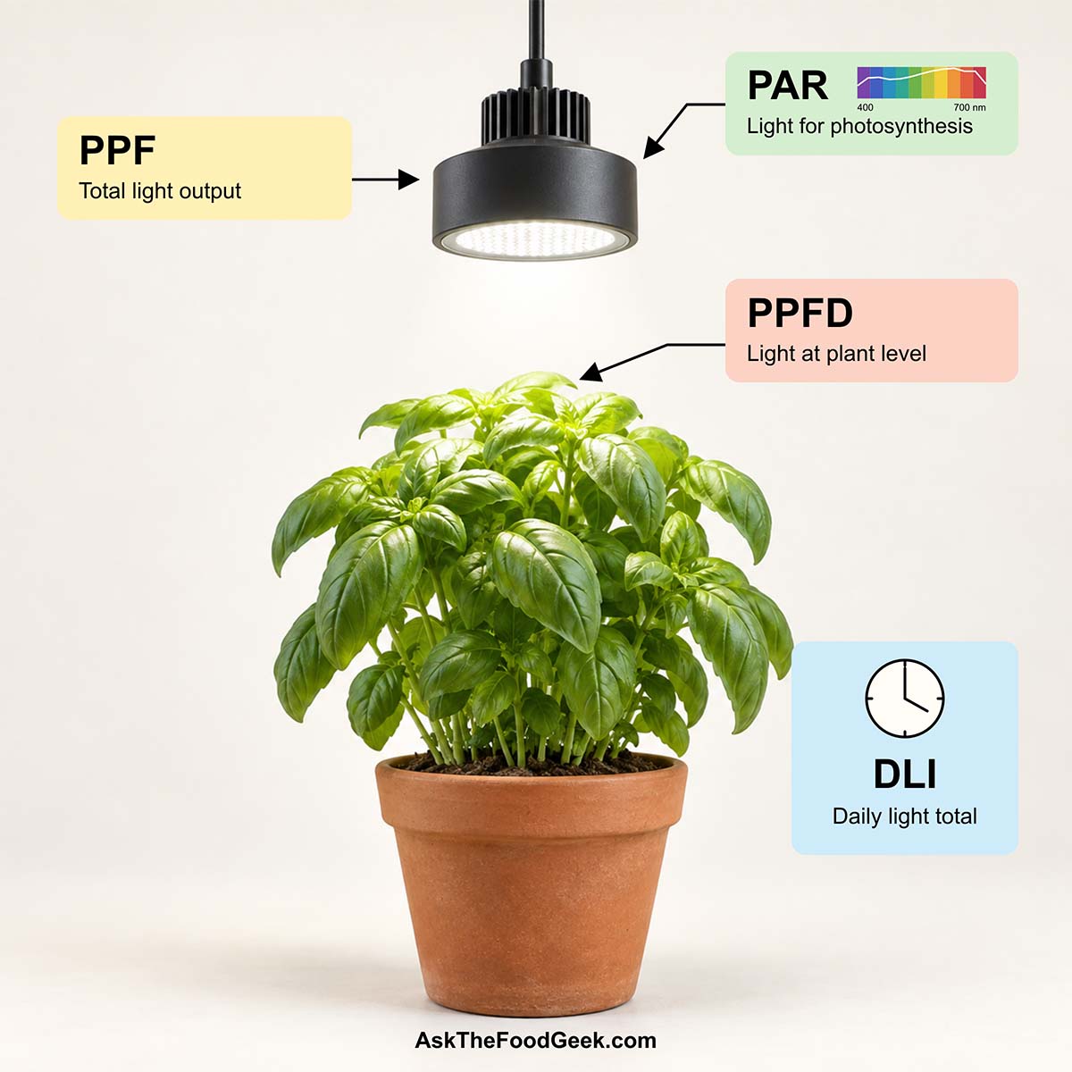 An infographic of a grow light over a basil plant to show the PAR, PPF, PPFD, and DLI relationship to the grow light.