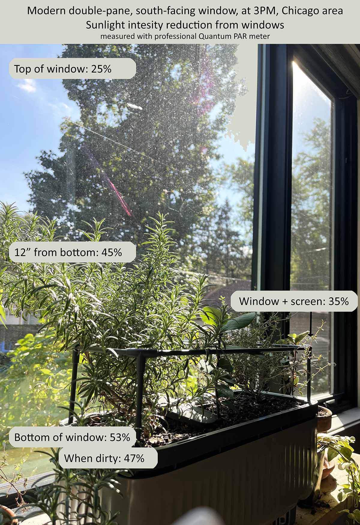 How much light gets through modern windows, which is about 50% without screens and south facing.