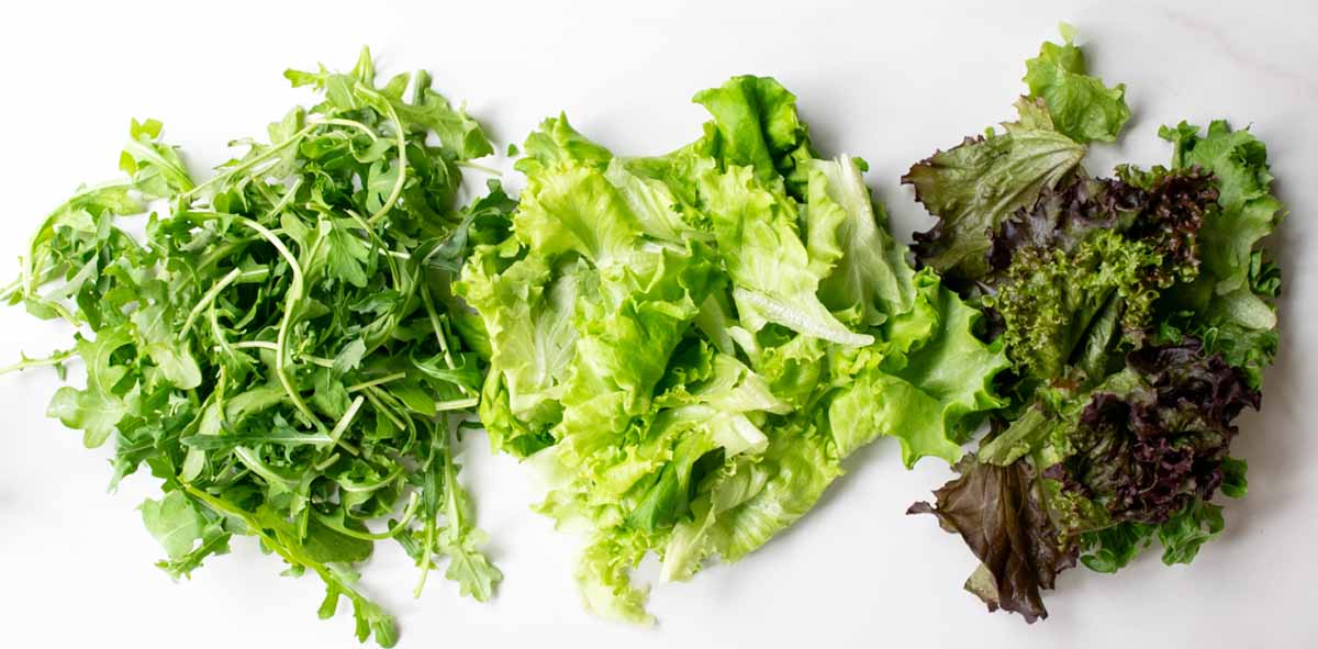 Romaine and iceberg are classic lettuces for club sandwiches, but arugula, butterhead, and spring mix are other great options.