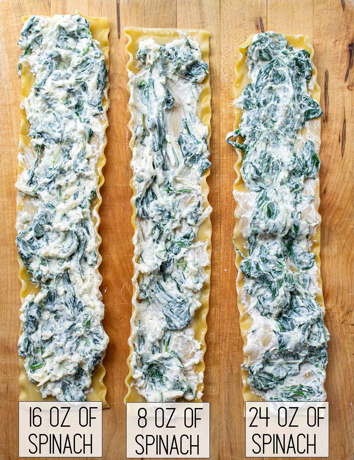 3 lasagna noodles, each with a layer of ricotta cheese with different ratios of spinach mixed in for tests on how much spinach to use: 8 ounces, 16 ounces, and 24 ounces.